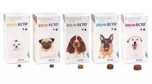 Бравекто для собак: инструкция