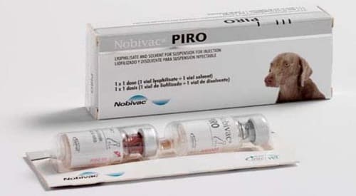 Нобивак пиро: вакцина для профилактики пироплазмоза