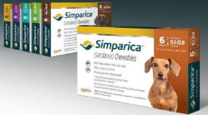 Симпарика для собак: инструкция по применению