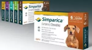 Симпарика для собак: инструкция по применению