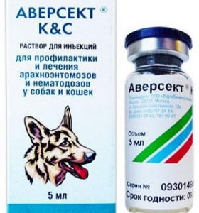 Демодекоз у собак: фото, лечение, симптомы, препараты