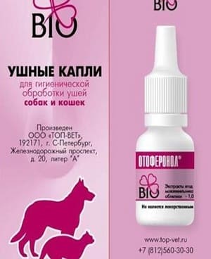 Капли от ушного клеща для собак – 25 препаратов