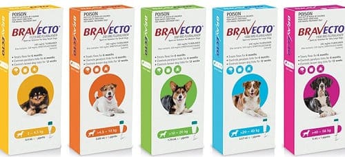 Капли на холку Бравекто Спот Он для лечения отодектоза у собаки