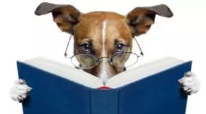 Маленькие умные породы собак