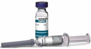 Прививки от пироплазмоза для собак: описание