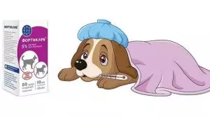 Фортикарб для собак: инструкция по применению