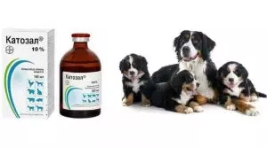 Катозал для собак: инструкция по применению