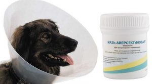 Аверсектиновая мазь для собак: инструкция по применению