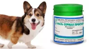 Серная мазь: применение для собак