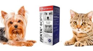 Декта форте: инструкция для собак и кошек