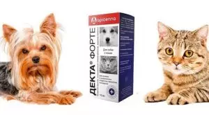 Декта форте: инструкция для собак и кошек