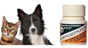 Сафродерм для животных: инструкция