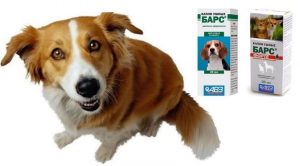 Ушные капли Барс и Барс форте для собак