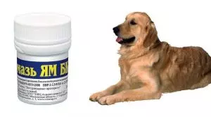 Мазь Ям БК для животных: инструкция по применению