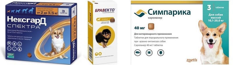 Таблетки Нексгард Спектра, Бравекто, Симпарика для лечения и профилактики саркоптоза у собак