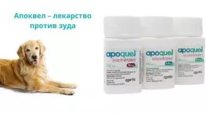 Апоквел: инструкция для собак