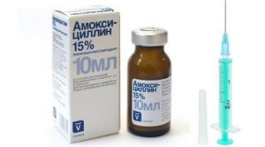 Амоксициллин ветеринарный: инструкция
