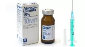 Амоксициллин ветеринарный: инструкция