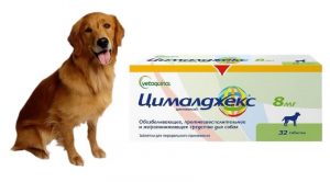 Цималджекс: инструкция для собак