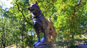 Балто: памятник в Нью-Йорке