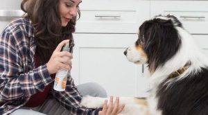 Антисептики для собак