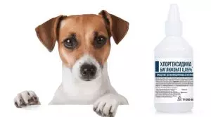 Хлоргексидин для собак