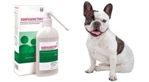 Мирамистин для собак