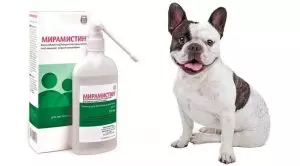 Мирамистин для собак