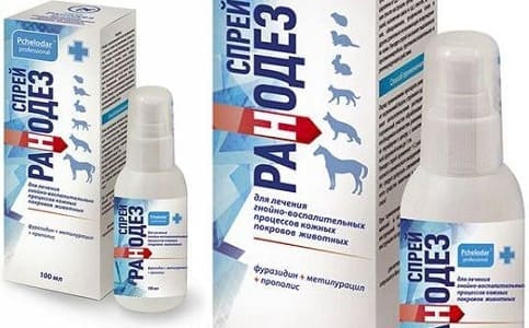 Ранодез: антисептик от гнойных воспалений кожи у собак
