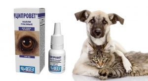 Ципровет капли глазные: инструкция по применению для собак и кошек