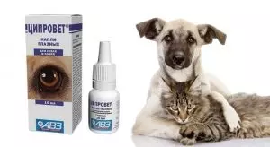 Ципровет капли глазные: инструкция по применению для собак и кошек