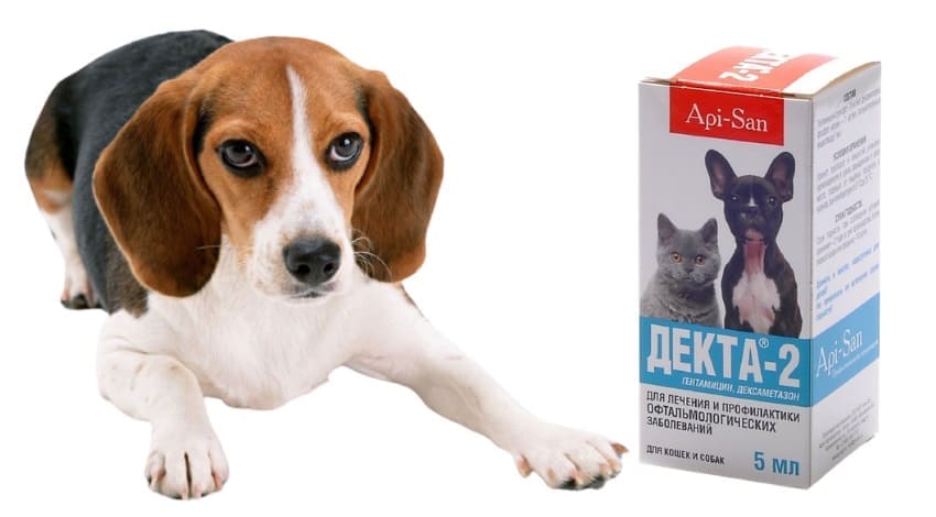 Атакса капли для собак цена. Декта 2 для собак. Препараты от блох для аллергичных собак. Атакса капли для собак. Декта-2 глазные капли для кошек.