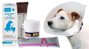 Мази от лишая для собак