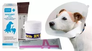 Мази от лишая для собак