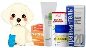 Заживляющие мази для собак