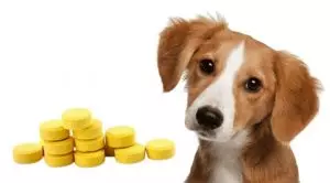 Фурацилина собаке