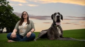 Самая большая собака в мире в 2022 году