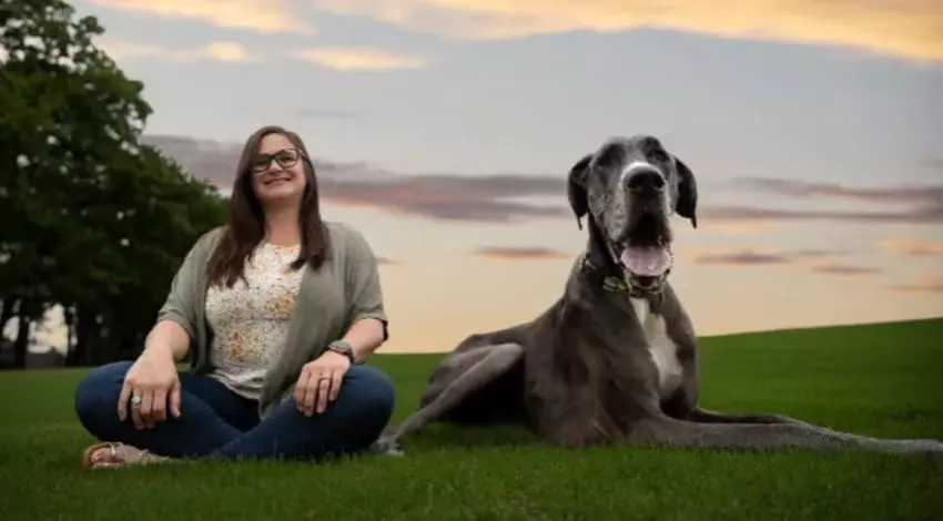 Самая большая собака в мире в 2022 году