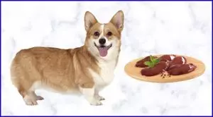 Можно ли собакам куриную печень