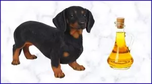 Растительное масло собакам
