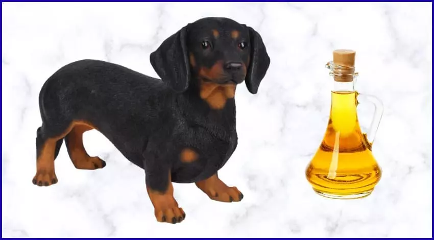 Растительное масло собакам