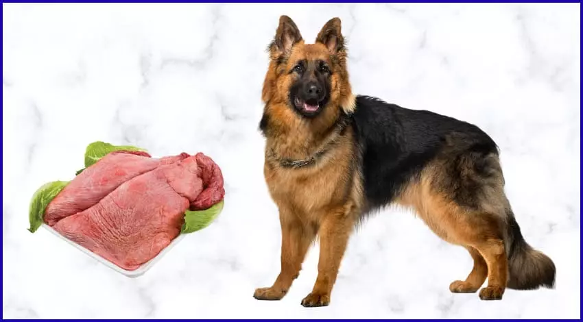 Легкое собакам