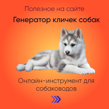 Генератор кличек щенков и собак