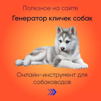 Генератор кличек щенков и собак